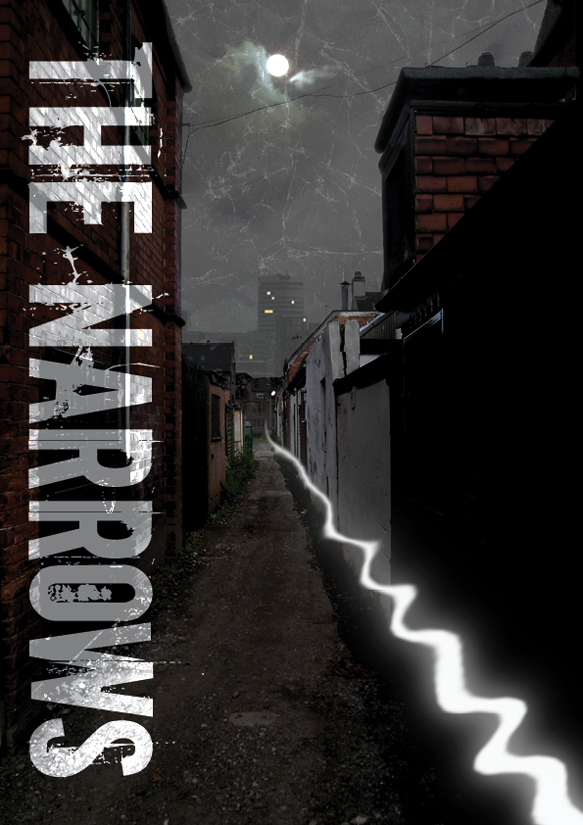 The Narrows Book Cover